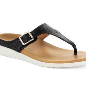 Strive Footware